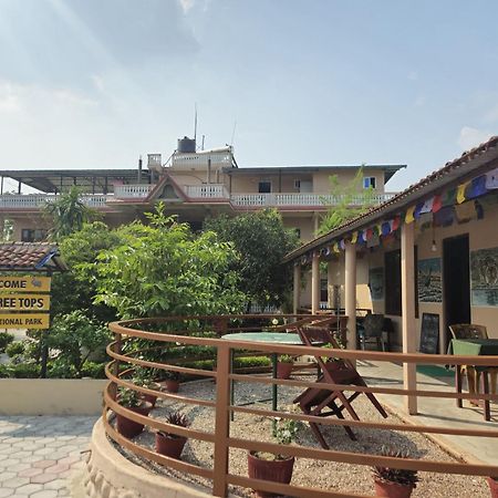 סאורהה Hotel Tree Tops מראה חיצוני תמונה