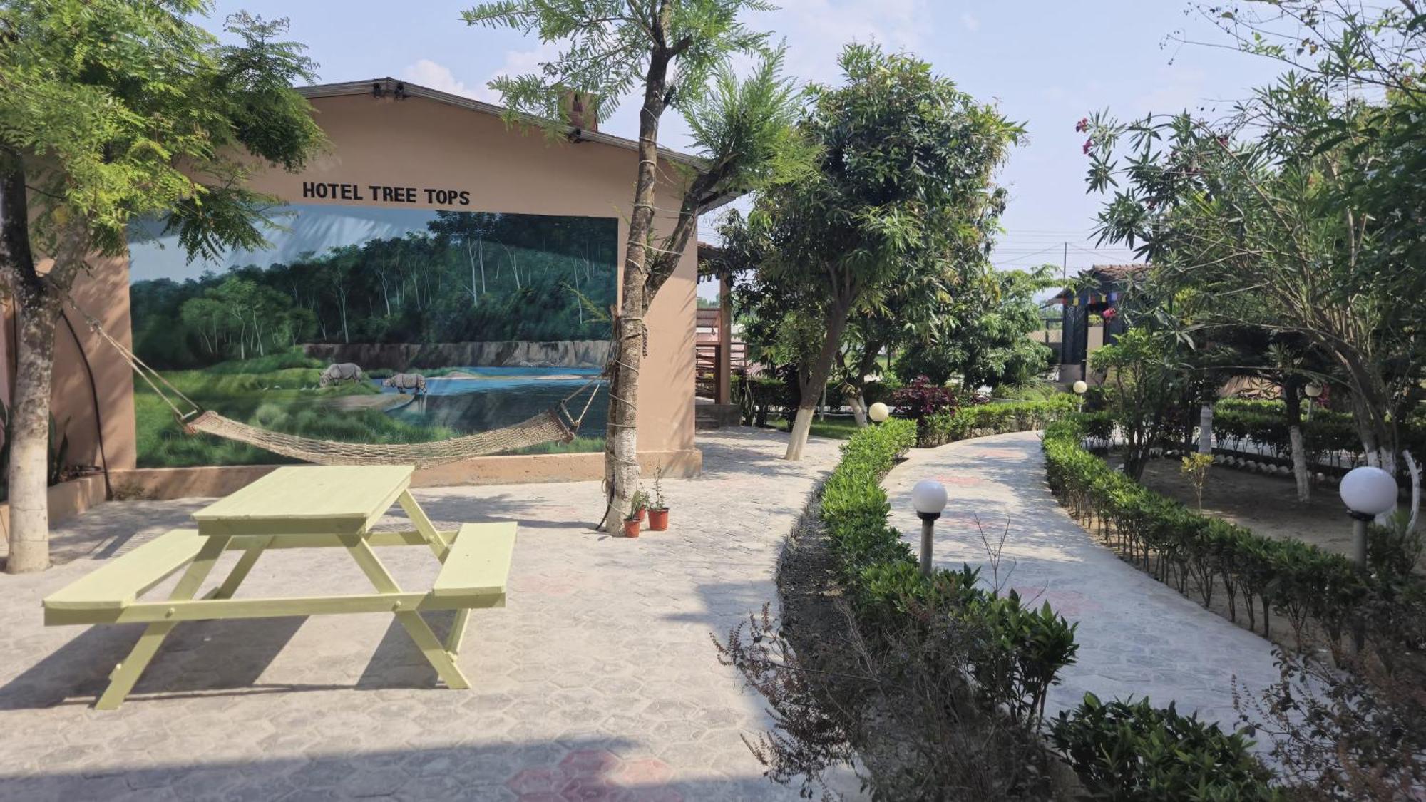 סאורהה Hotel Tree Tops מראה חיצוני תמונה