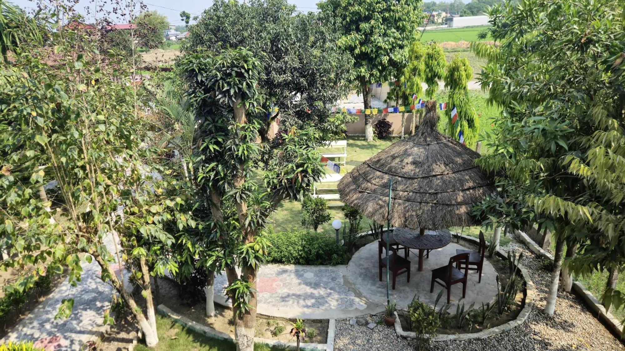 סאורהה Hotel Tree Tops מראה חיצוני תמונה
