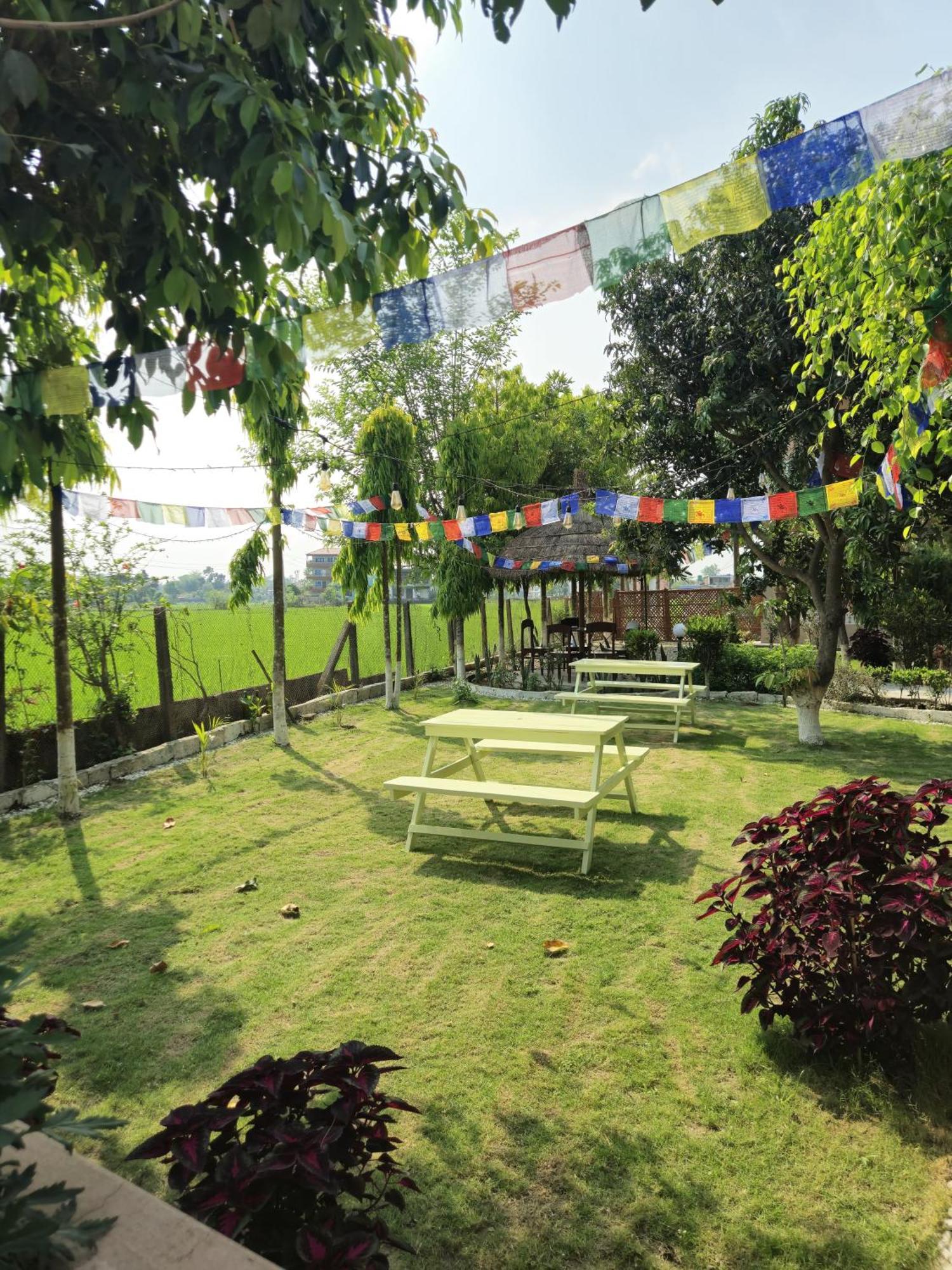 סאורהה Hotel Tree Tops מראה חיצוני תמונה