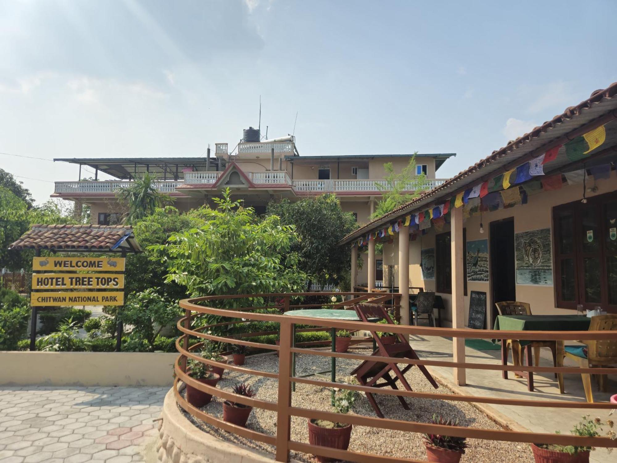 סאורהה Hotel Tree Tops מראה חיצוני תמונה
