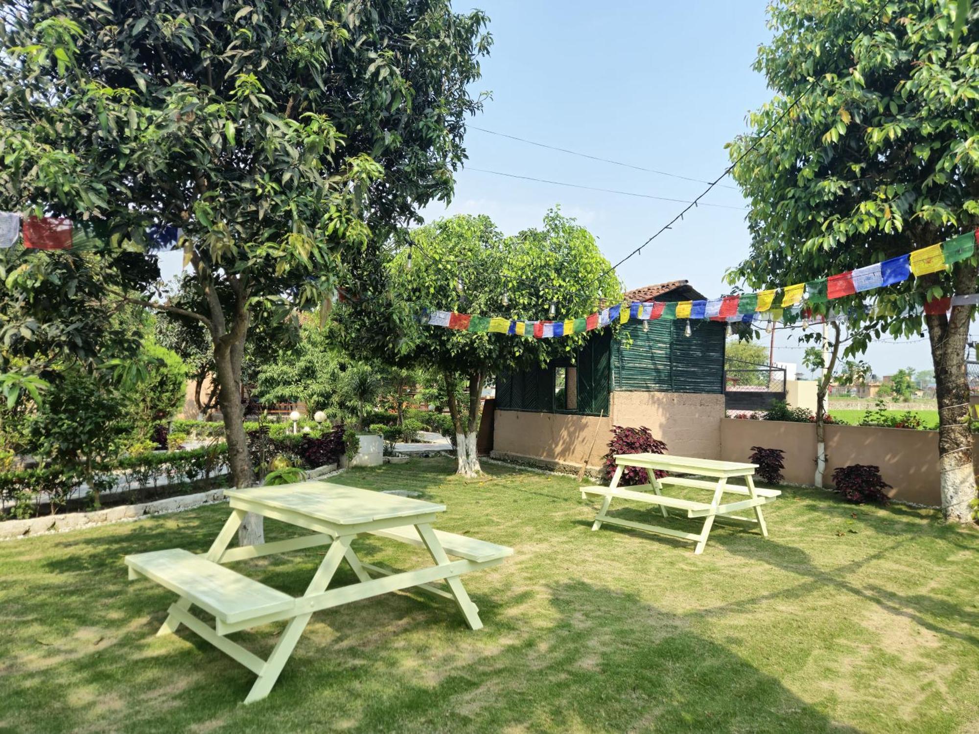 סאורהה Hotel Tree Tops מראה חיצוני תמונה