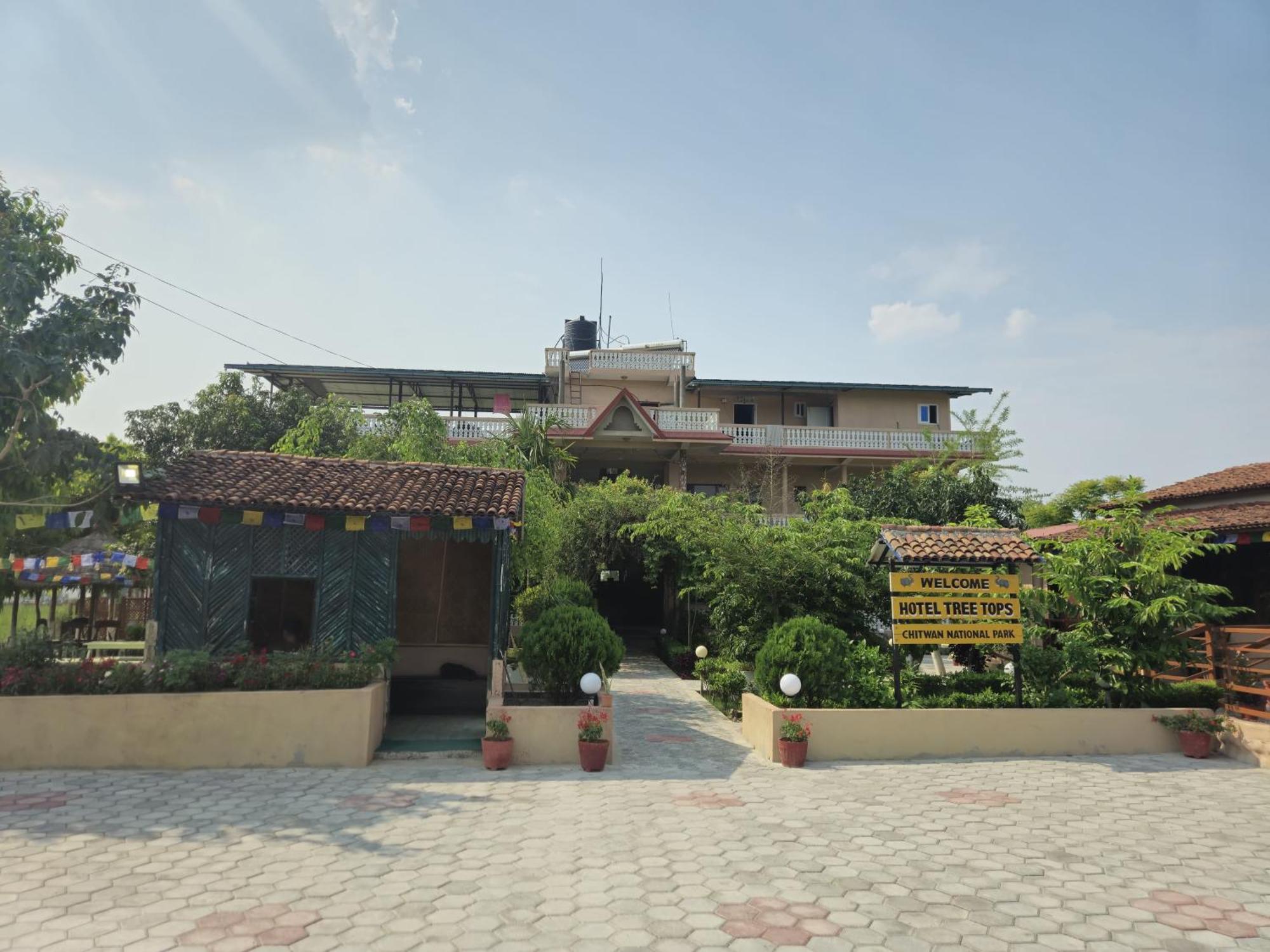 סאורהה Hotel Tree Tops מראה חיצוני תמונה